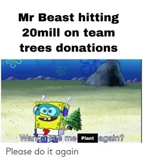 Mr Beast Hitting 20mill on Team Trees Donations Wanna See Me