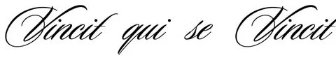 "Vincit qui se Vincit" - tattoo words, download free scetch