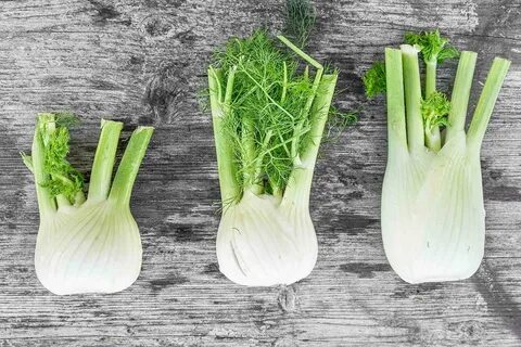 What Is Fennel?