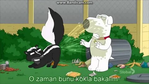 Family Guy- Brian Griffin Have a big trouble with a skunk :D