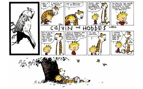 Read online Calvin and Hobbes comic - Issue #10