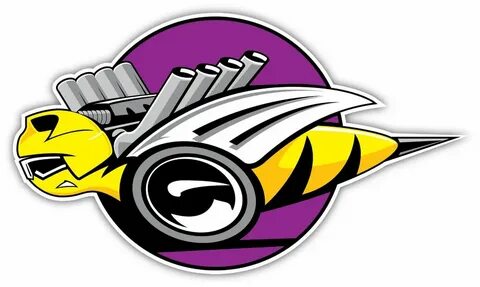 Decal Cars Sports Version B Sticker Dodge Rumble Bee co Car 