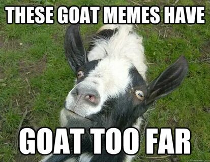goat memes quickmeme