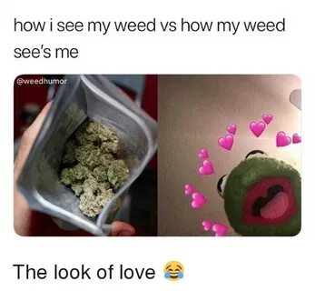 How I See My Weed vs How My Weed See's Me the Look of Love 😂