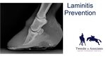 Laminitis Prevention Part 1 - YouTube