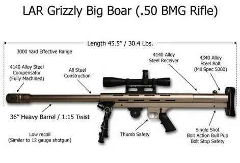 LAR : Grizzly Big Boar 50BMG Sumally (サ マ リ-)