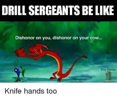 DRILL SERGEANTS BELIKE Dishonor on You Dishonor on Your Cow 