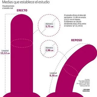 dejenere bardak Bilmek için uğramak tamaño medio pene españo