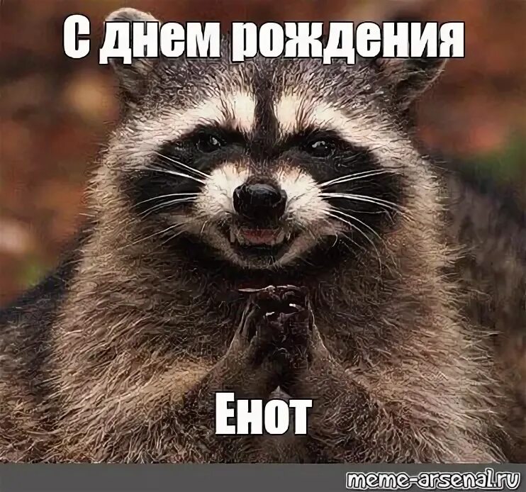 Мем: "С днем рождения Енот" - Все шаблоны - Meme-arsenal.com