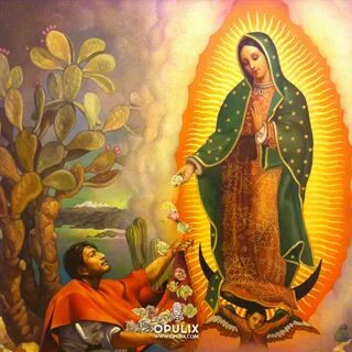 Fondos De Pantalla De La Virgen De Guadalupe posted by Sarah