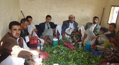 FrstHand The Love for Khat in Yemen