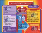 Chronic Obstructive Pulmonary Disease (COPD) Gas Exchange Co