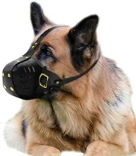 Amazon.com: leather dog muzzles for biting