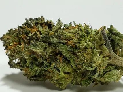 Cherry Pie Marijuana Strain Biscotti strain weed dispensary