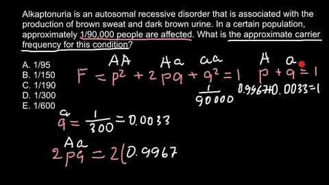 The Hardy-Weinberg Equation Pogil Answers Key : Balancing Ch