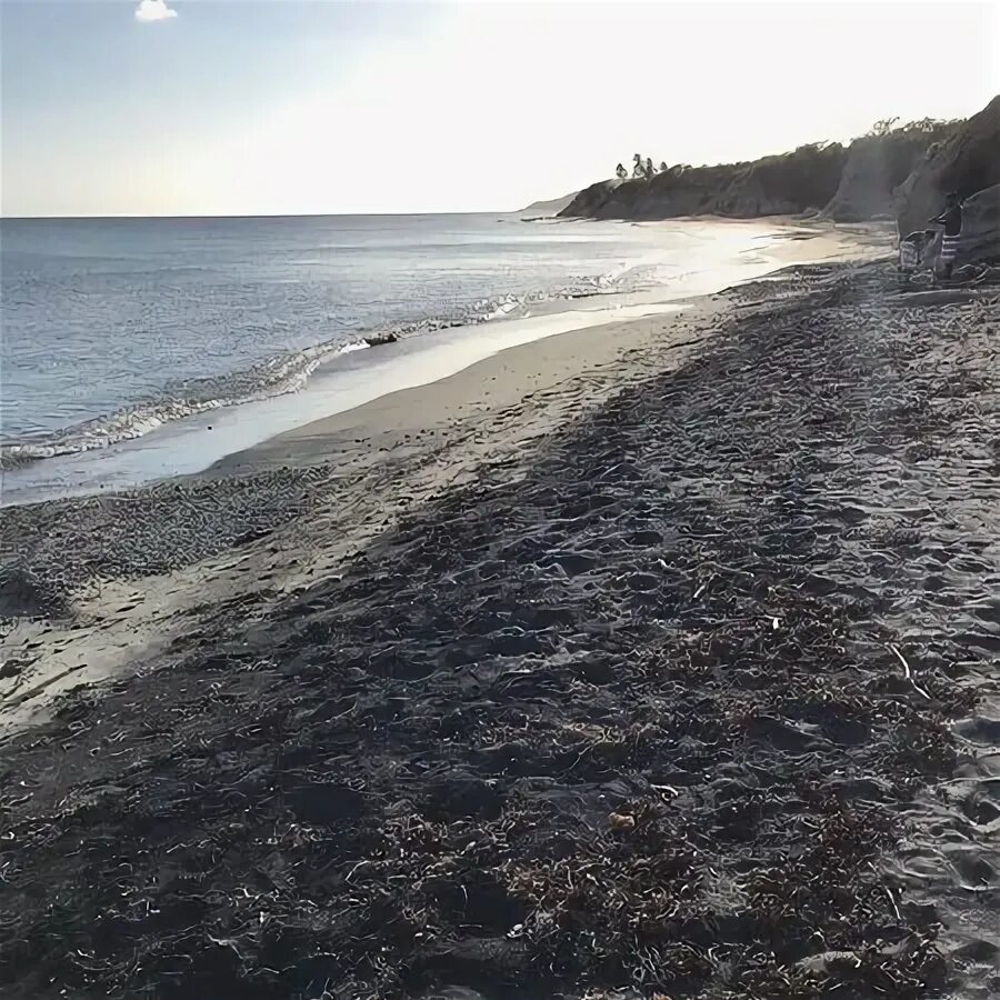 Black Sand Beach (Isla de Vieques) - 2020 All You Need to Kn