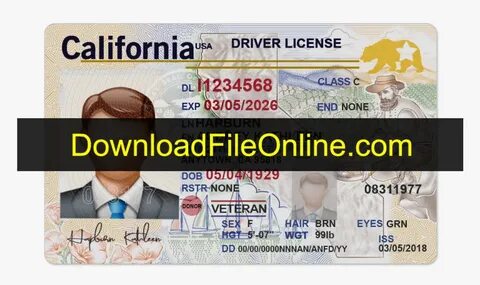 Editable blank california drivers license template