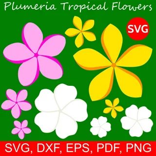 Plumeria SVG Floral Clipart files for Cricut digital downloa