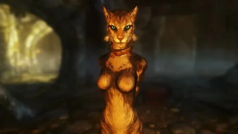 Khajiit has pussy if you have coin - /trash/ - Off-Topic - 4