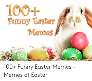 🐣 25+ Best Memes About Easter Funny Meme Easter Funny Memes