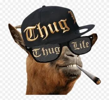 Descargar - Thug Life Glasses Meme - Free Transparent PNG Cl