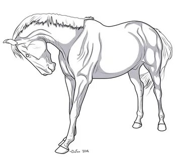 Horse lineart free linearts on da horses deviantart - Clipar