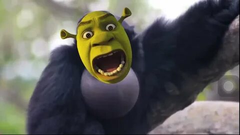Shrek Screaming Gibbon Monkey - YouTube