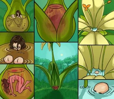 Plant Monster Hentai Porn Sex Pictures Pass