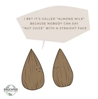 Almond milk jokes Vegan jokes, Almond milk, Vegan milk