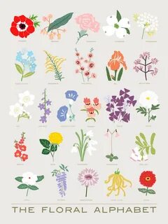 The Floral Alphabet 꽃그림, 그린 꽃, 패턴 일러스트
