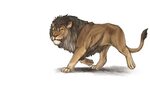 May Event Championship Lioden Wiki Lion King Art Big Cats - 