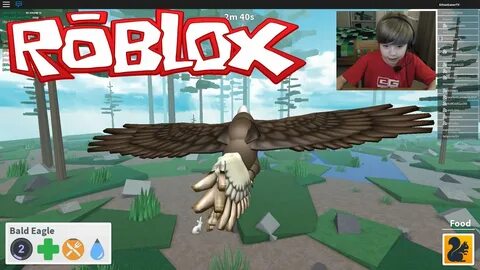 I turned into a bald eagle in Roblox Bird Simulator - YouTub