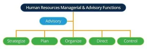 All About Human Resource Management Smartsheet