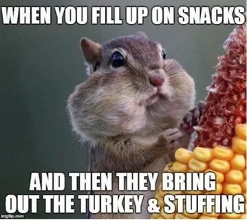 50+ Funny Thanksgiving Memes That Will Bring A Smile On Your