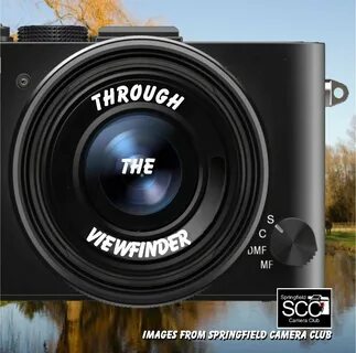 Through the Lens by Springfield Camera Club Blurb Books