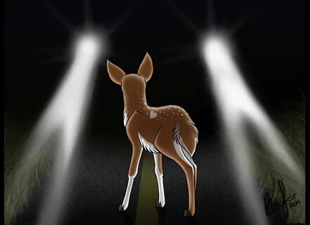 Just Another Life: Deer In Headlights