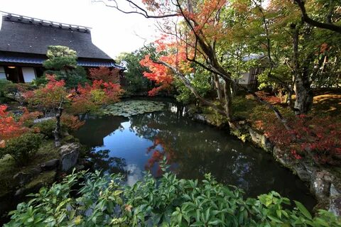 Exclusive Japanese landscape design - KASUGAI Architects+ - KASUGAI.