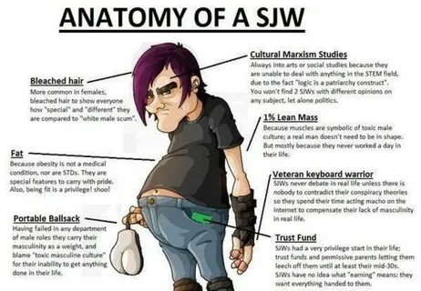Anatomy of an SJW Social Justice Warrior Know Your Meme