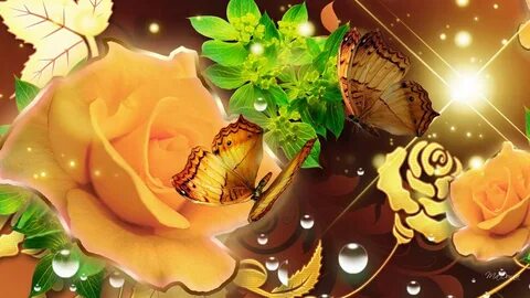 Golden Rose High Definition Wallpaper 34607 - Baltana