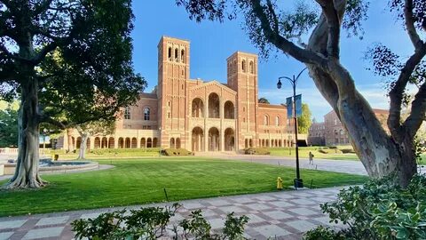 UCLA Student Panel CollegeVine