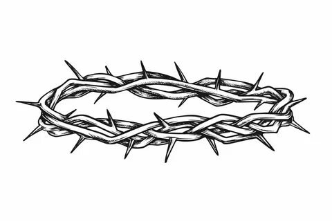 White Crown Of Thorns Related Keywords & Suggestions - White
