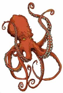 giant octopus - Google Search Tentacle art, Octopus art draw