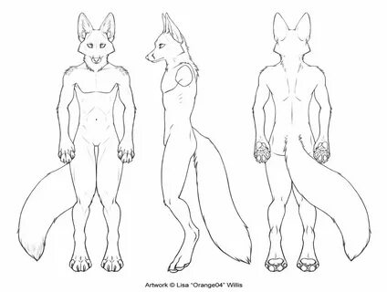 3-View Character Sheet - Male Fox by orange04 -- Fur Affinit