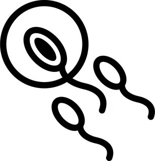 Sperm Entering To An Ovule Svg Png Icon Free Download (#3745