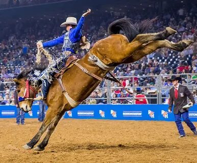 Houston Rodeo : Houston Livestock Show And Rodeo Announces U