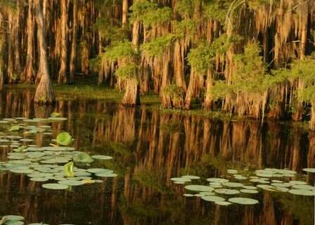 Best places to retire, Swamp, State parks