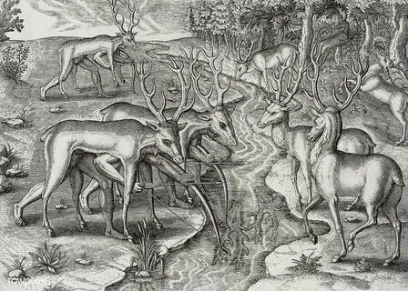 Deer hunting illustration from Grand voyages (1596) by Theod