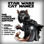 Pin by negtuvi on fandoms Star wars, Nerd humor, Cats