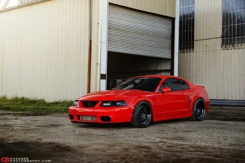 Pin by Strobin on Ford Ford mustang cobra, Mustang cobra, 20