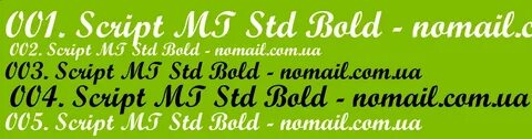 Скачать шрифт Script MT Std Bold